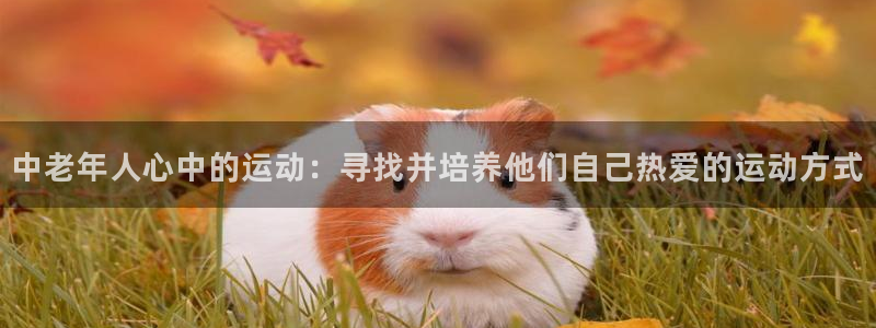 betway西汉姆