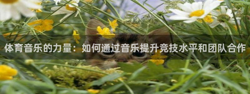 betway西汉姆官网