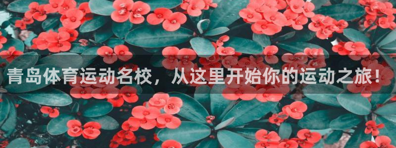 betway西汉姆联官网