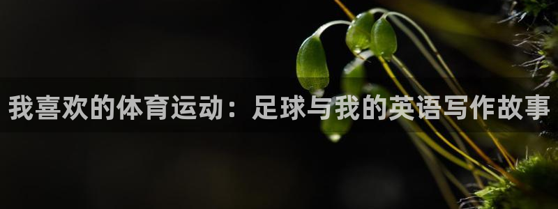 betway西汉姆