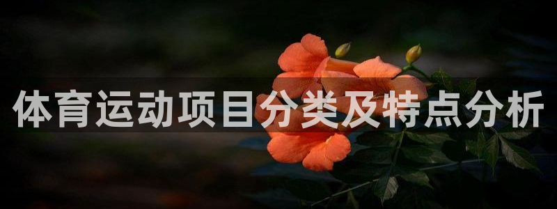 必威betway西汉姆联