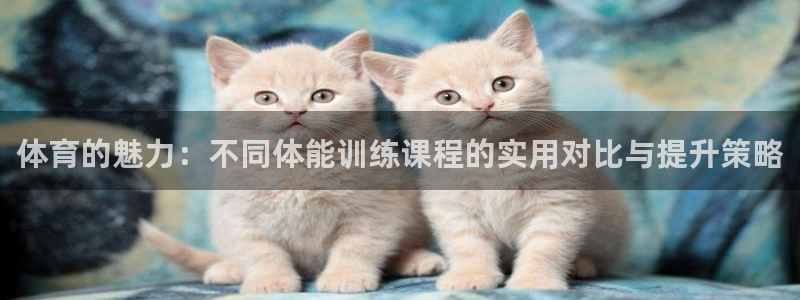 betway西汉姆联官网