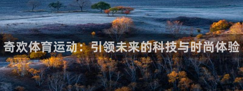 betway西汉姆官网